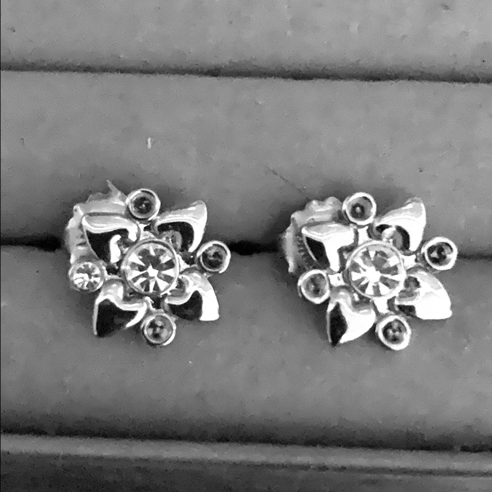 Silver Pierced Earrings
